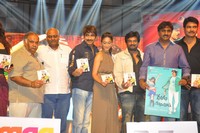 DCM Music Launch Photos